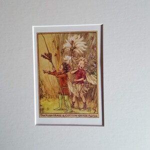 May include: Two fairies, one with a red shirt and the other with a green shirt, stand in a field of tall grass. The text "The RUSH-GRASS & COTTON-GRASS Fairies" is at the bottom of the image.