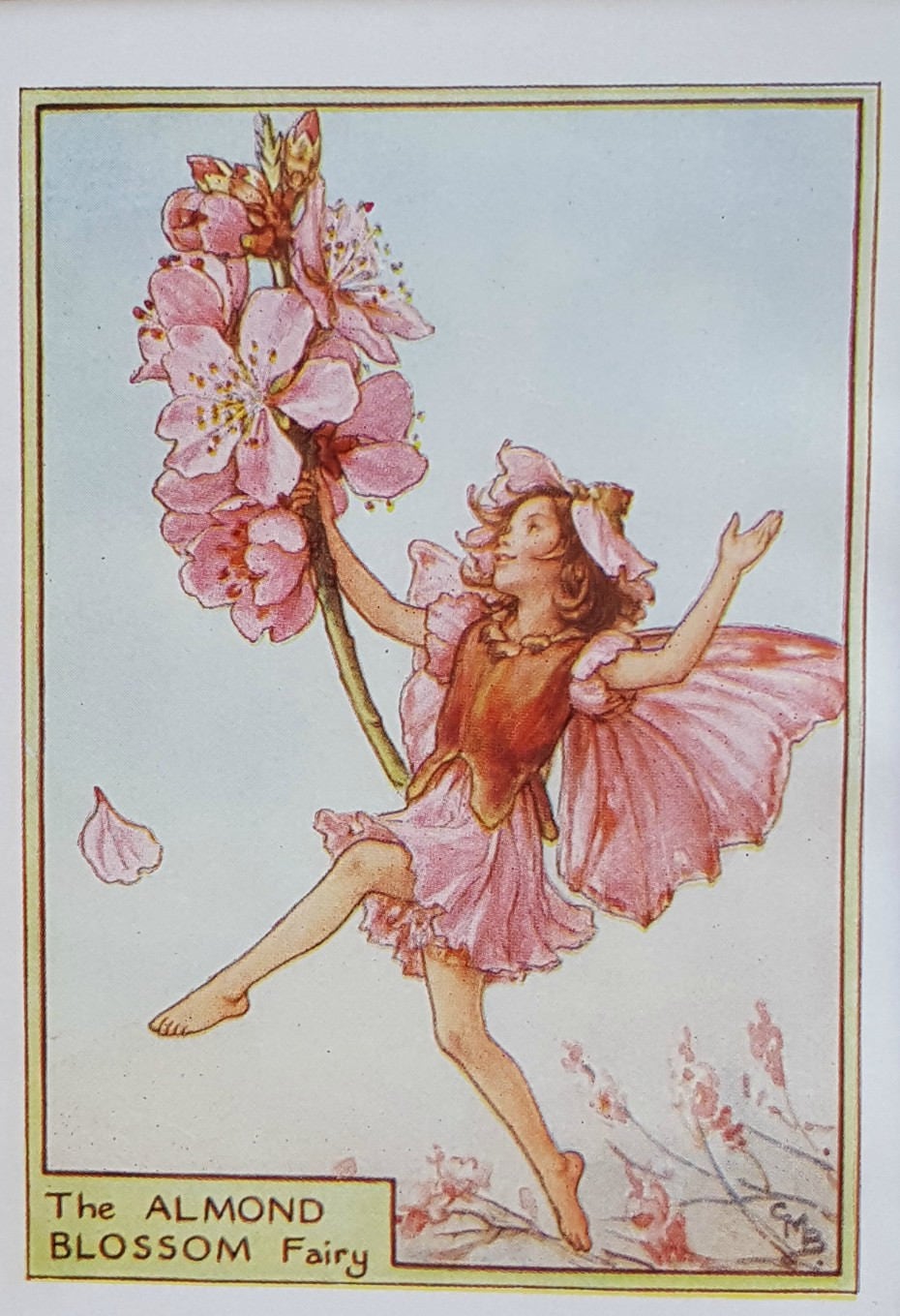 Flower Fairy Vintage Print Mounted Almond Blossom Tree Fairy