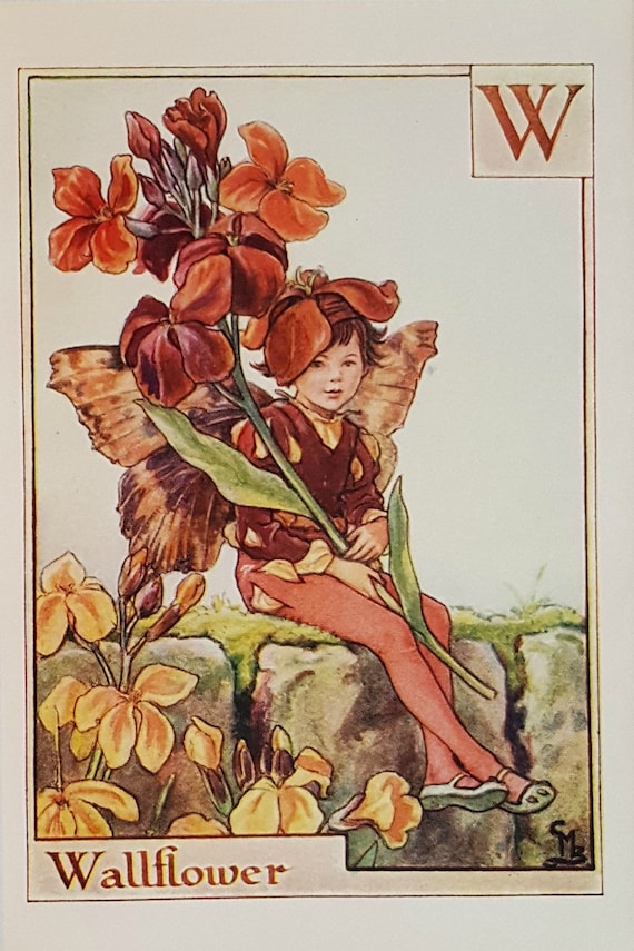 Flower Fairies Mounted W for Wallflower Alphabet Flower Fairy