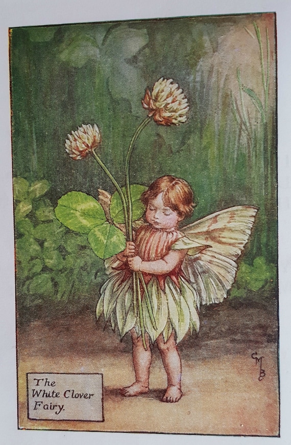 Fee bereit Vintage Blume zum MARY Blumenfeen 1930 Rahmen. Weiße CICELY nostalgische Original BARKER Sommer Klee montiert Print