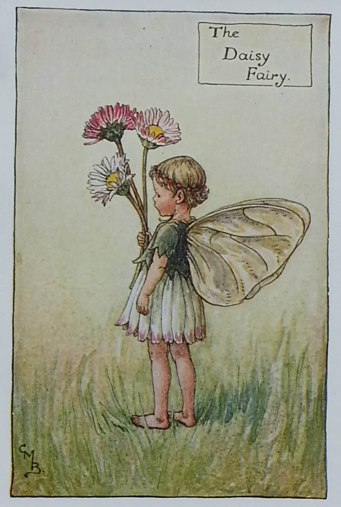 Flower Fairies Daisy Flower Fairy  CICELY MARY BARKER image 1