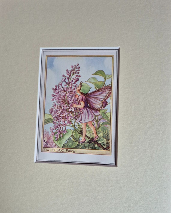 Lilac Tree Flower Fairy Vintage Print CICELY MARY BARKER Flower