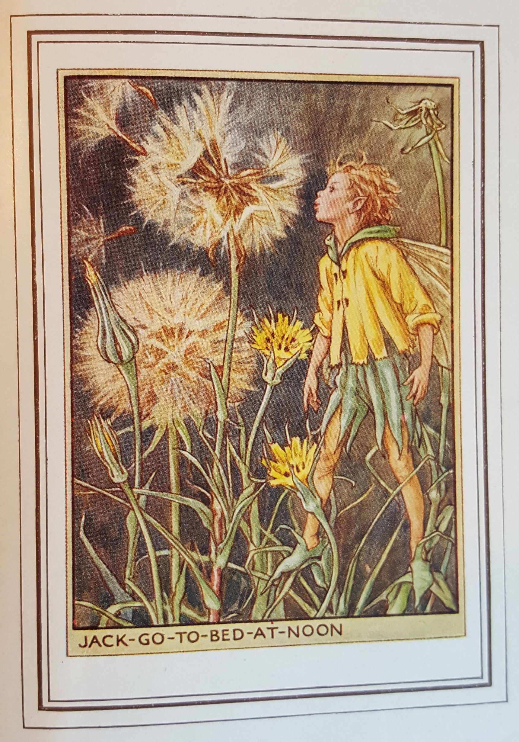 Halcyon Days　ピルケース　FLOWER FAIRIES Halcyon Days ピルケース FLOWER FAIRIES