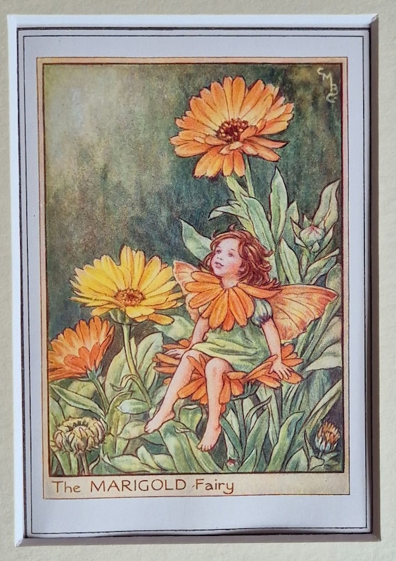 Flower Fairy Vintage Print Marigold Fairy Cicely Mary Barker