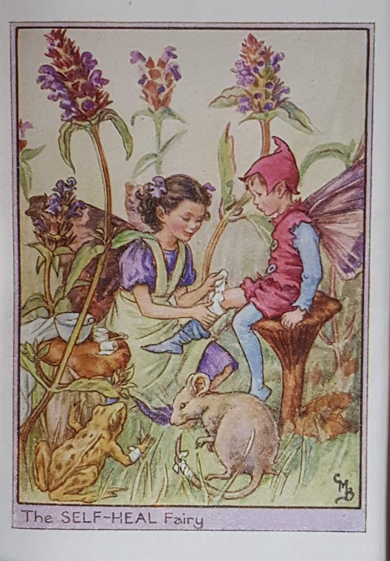 The Self-Heal Vintage Print  CICELY MARY BARKER Flower Fairies image 1