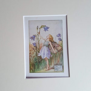 Harebell Flower Fairy Vintage Print Cicely Mary Barker Flower Fairies Original Print 1930s Mounted ready to Frame image 2