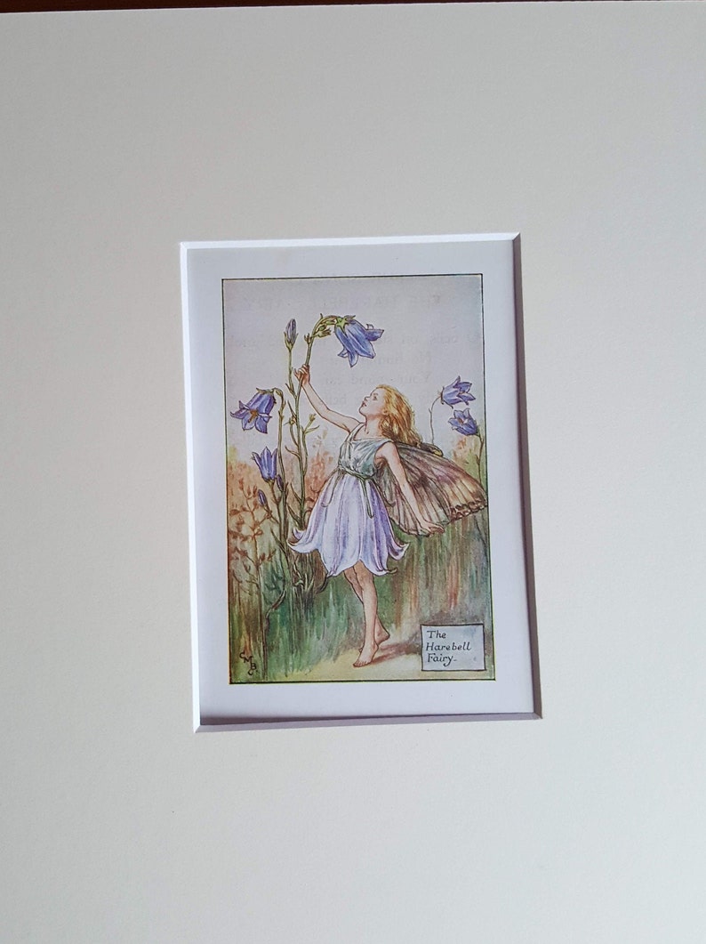 Harebell Flower Fairy Vintage Print Cicely Mary Barker Flower Fairies Original Print 1930s Mounted ready to Frame image 2