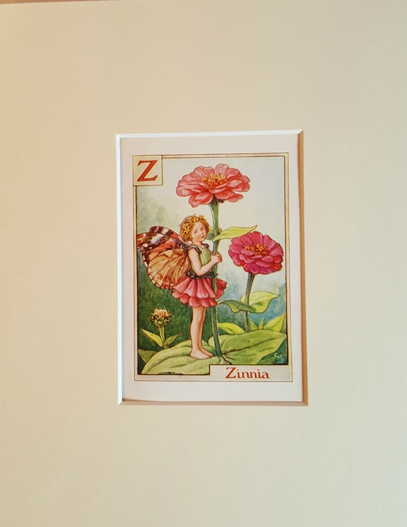Original Flower Fairy Alphabet Letter Z, Zinnia, Cicley Mary