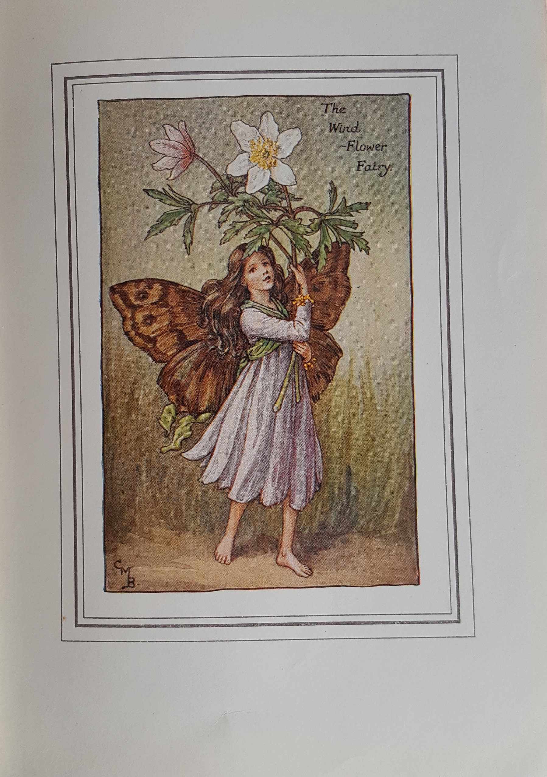 【希少品】PAURA PRYKE’S FLOWER SCHOOL Paula Pryke — Paula Pryke Flower School