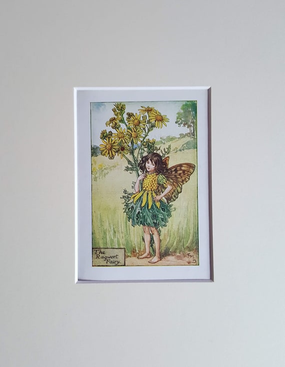 【希少品】PAURA PRYKE’S FLOWER SCHOOL Paula Pryke — Paula Pryke Flower School