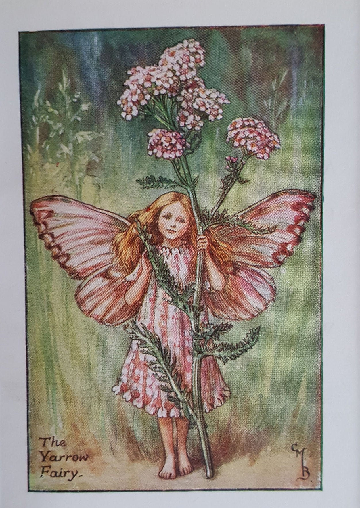 Yarrow Summer Flower Fairy Mounted Flower Fairies 1930's CICELY