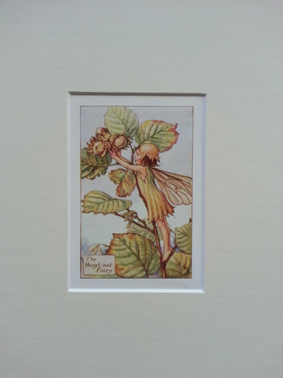 Autumn Flower Fairy Vintage Print 1930's Hazelnut Flower