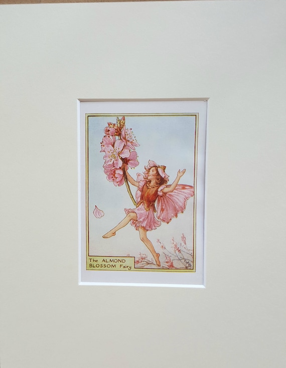 Flower Fairy Vintage Print Mounted Almond Blossom Tree Fairy
