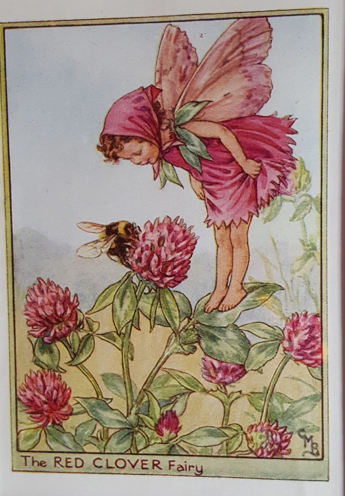 メアリー・シシリーバーカー赤いクローバーの妖精 Red Clover Fairy 1930's Vintage Print CICELY MARY BARKER