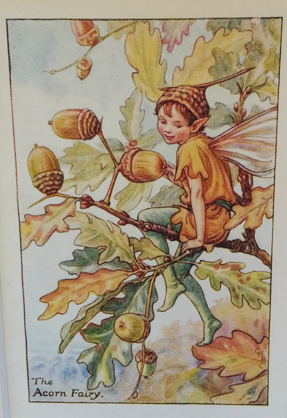 Flower Fairy Vintage Print 1930s Acorn CICELY MARY BARKER image 1