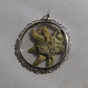 Age old silver pendant in country house style with alps Edelweiss. Costume fashion / traditional clothing. Alpine Edelweiss jewelry. VINTAGE