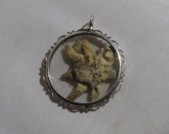 Age old silver pendant in country house style with alps Edelweiss. Costume fashion / traditional clothing. Alpine Edelweiss jewelry. VINTAGE