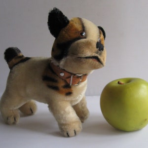 Könnte beinhalten: Ein Plüschtier-Bulldogge mit braunem und schwarzem Fell, das ein braunes Lederhalsband mit einer silbernen Schnalle trägt. Das Spielzeug steht auf einer weißen Oberfläche neben einem grünen Apfel.