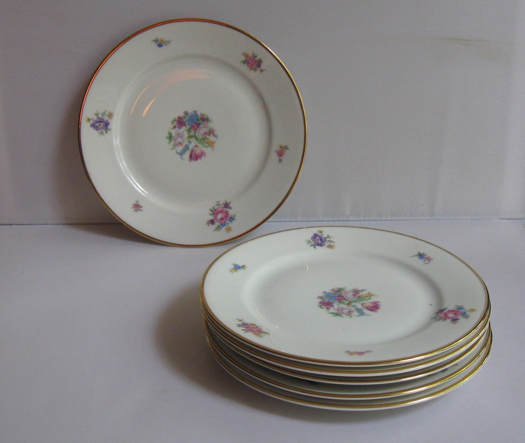 ROSENTHAL Selbploessberg Bavariagermany AIDA. 6 Small Plates With Scattered Flowers Decor. Ø