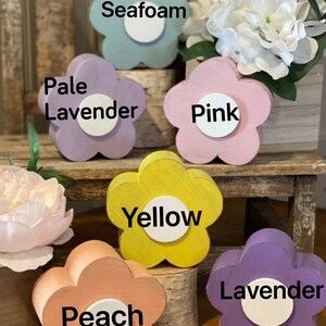 Pu&ograve; includere: Sei ornamenti in legno a forma di fiore in vari colori pastello, tra cui verde acqua, lavanda pallida, rosa, giallo, pesca e lavanda. Ogni ornamento ha un cerchio bianco al centro.
