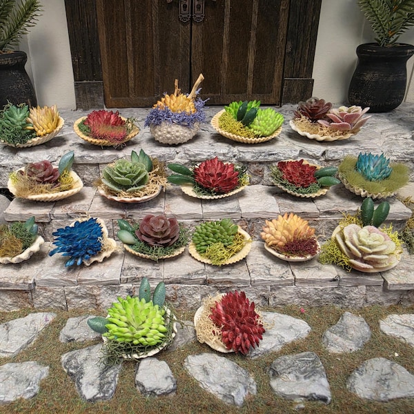 Dollhouse 1/12 scale succulent and shell table arrangement
