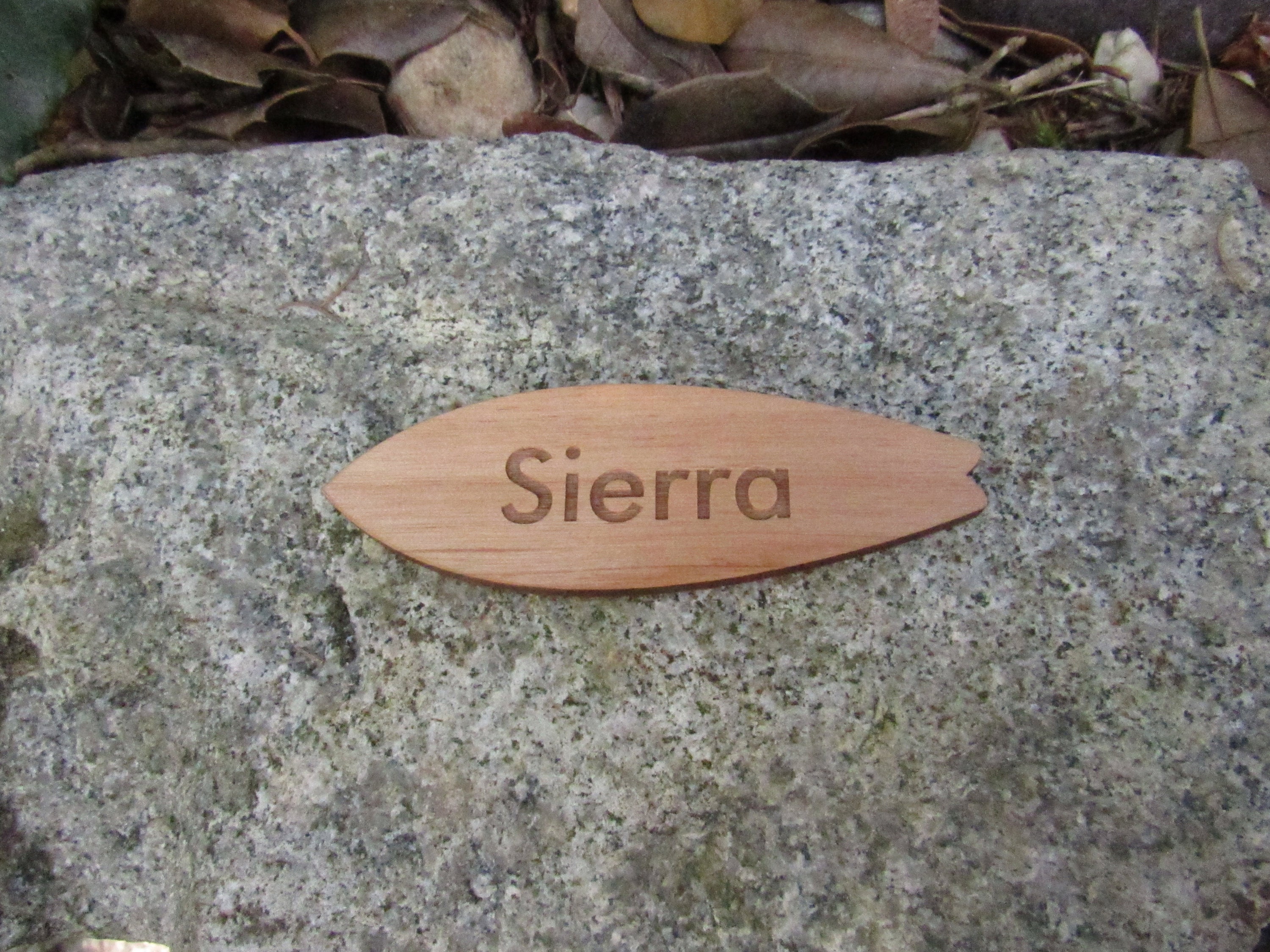 Surfboard Name Tag Etsy
