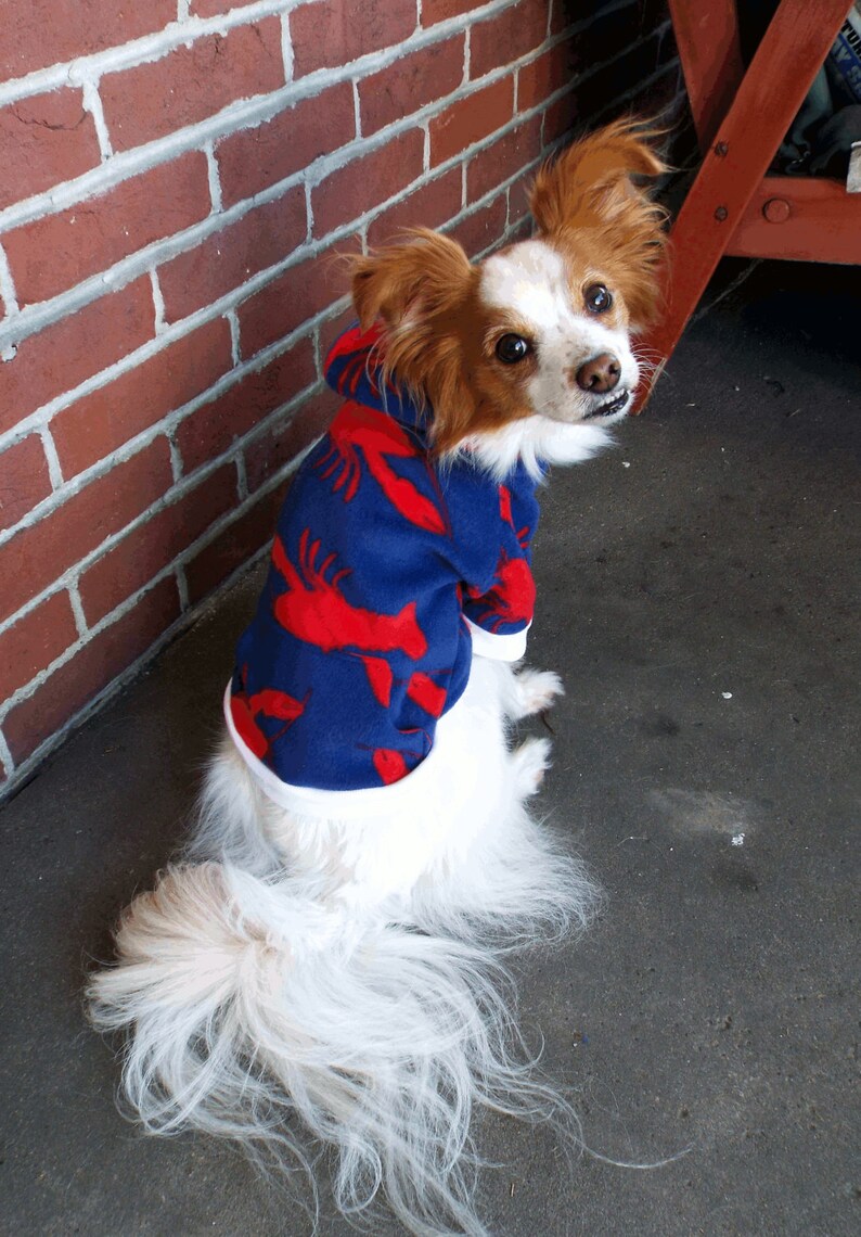 Lobster Dog Hoodie Pet Hoodie Lobster Pet Clothes Dog Clothes Dog Outerwear Fall Pet Clothes