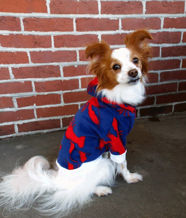 Lobster Dog Hoodie Pet Hoodie Lobster Pet Clothes Dog Clothes Dog Outerwear Fall Pet Clothes