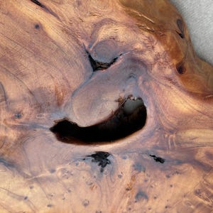 May include: A polished wooden slab featuring a natural live edge and a prominent central void. The surface displays a rich amber and brown grain pattern with dark knots, swirling wood textures, and organic irregularities throughout the piece.