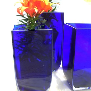 Cobalt Blue Vases