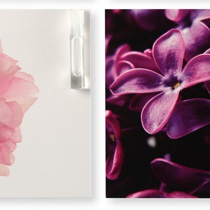 May include: Two images of flowers with the text "Melange Perfume" on each. The first image is a close-up of a pink flower with a white background. The second image is a close-up of a cluster of purple flowers with a dark background.