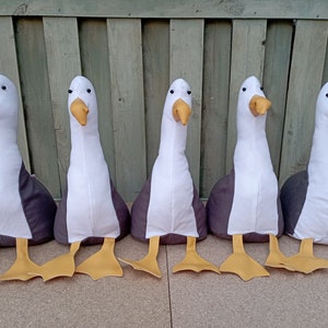 Eddie the Seagull Doorstop / Bookend DIY flat packed-Funny doorstop-Coastal decor-House warming-beach life-unique gift-birds-grey-white image 2