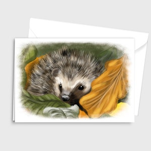 Illustration de la faune à l'aquarelle Carte de vœux A6/A5 - Un hérisson nichant dans les feuilles d'automne - par Emily Hocking Art