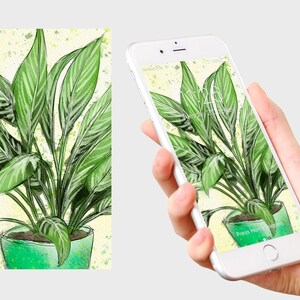 Download digital (somente para uso pessoal) Papel de parede de telefone de ilustração botânica em aquarela - planta chinesa Evergreen House - por Emily Hocking