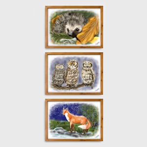 Set van 3 aquarel Wildlife illustratie A4/A5 muurafdrukken - Uilen, Egel en Vos - door Emily Hocking Art