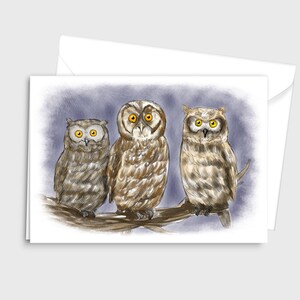 Illustration de la faune aquarelle Carte de vœux - Trois hiboux sages - par Emily Hocking Art
