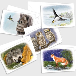 Ensemble de 5 cartes de vœux d’illustration de la faune aquarelle - Mésanges bleues, hiboux, macareux, hérisson et renard - par Emily Hocking Art