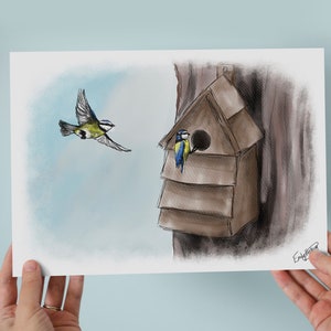 Aquarelle Illustration de la faune A5/A4 Art Wall Print pour maison de campagne Mésanges bleues trouvant une maison par Emily Hocking Art New Home Gift image 5