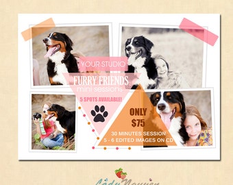 INSTANT DOWNLOAD Pets Mini Session template - MA093