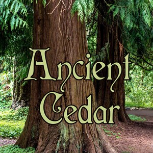 Ancient Cedar Perfume Oil Red Atlas and White Cedarwood Cedarleaf Juniper Berry Balsam Resin Forest Woodland Scent Diffuser Oil .25 oz