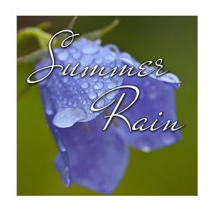 May include: A close-up of a purple flower with water droplets, set against a blurred green background. The words "Summer Rain" are written in white cursive across the image. The flower's petals are a vibrant purple.
