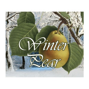 May include: A digital illustration of a yellow pear hanging from a branch with green leaves. The text "Winter Pear" is written in white script. The background shows a snowy forest scene.