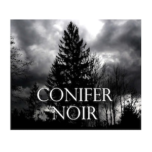 Conifer Noir Perfume Oil Black Spruce Pine Bark Sap Needles Amber Musky Woods Dark Rich Resinous Earthy Old Trees Forest Gothic  .25oz