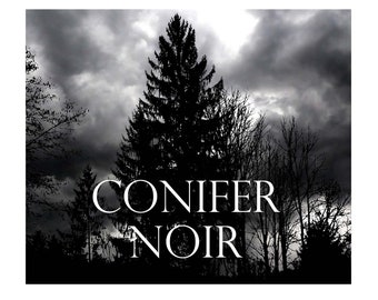 Conifer Noir Perfume Oil Black Spruce Pine Bark Sap Needles Amber Musky Woods Dark Rich Resinous Earthy Old Trees Forest Gothic  .25oz
