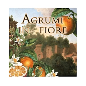 May include: A painting of a citrus orchard with the text "AGRUMI IN FIORE" in a gold font. The painting features a close-up of orange blossoms and oranges on a tree branch.