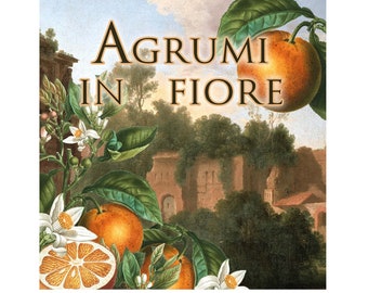 Agrumi in Fiore Perfume Oil Citrus Mandarin Bergamot Orange Blossom Leaf Grapefruit Fruit Flower Floral Scent Neroli Bloom .25 oz