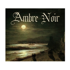 Ambre Noir Perfume Oil Pure Essential oils Black Amber dark earth vanilla caramel oak musk leather Gothic unisex fragrance jasmine  .25oz