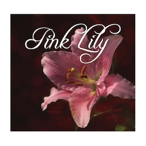 May include: A close-up of a pink lily flower with the text "Pink Lily" in white script. The flower has delicate petals and prominent stamens. The background is a dark, blurred maroon.