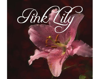 Pink Lily Perfume Oil Lush Oriental Lilies Jasmine Rose Tuberose Ylang Ylang Neroli Gardenia Amber Woods Vanilla Tropical Flower .25oz