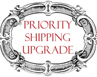PRIORITY SHIPPING upgrade: Choose this to upgrade your shipping from first class to priority mail US buyers only